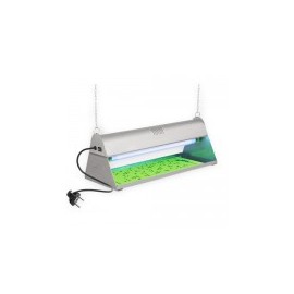 Exterminador Standard de Insectos 125V