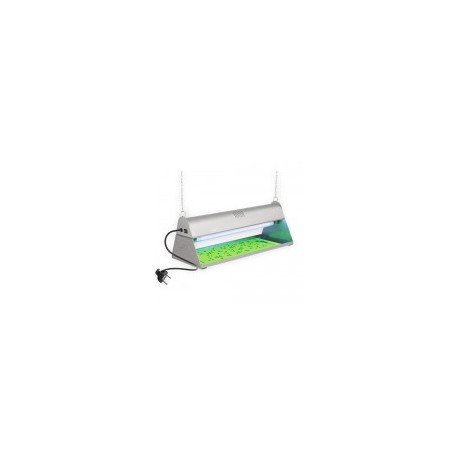 Exterminador Standard de Insectos 125V