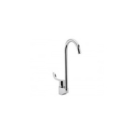 Llave Cuello de Ganso